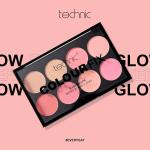 Technic Colour Fix Blush Palette