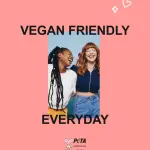 Technic Shade, Light & Bright Contour, Blush and Highlight Palette