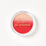 Technic Ombre Blusher