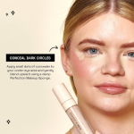 Technic 3-in-1 Canvas Concealer